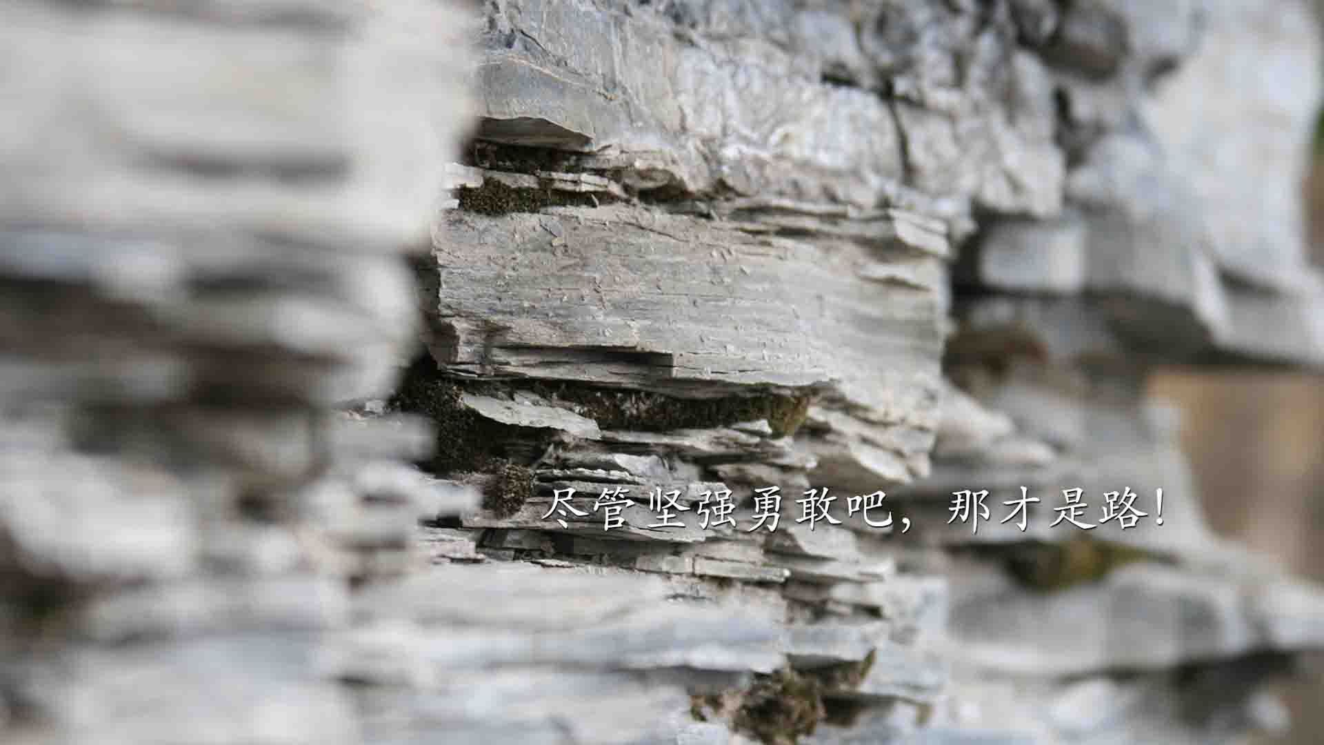 九游网页版入口-全国青少年“全民篮球公益月”在广州正式启动，深化全民运动理念