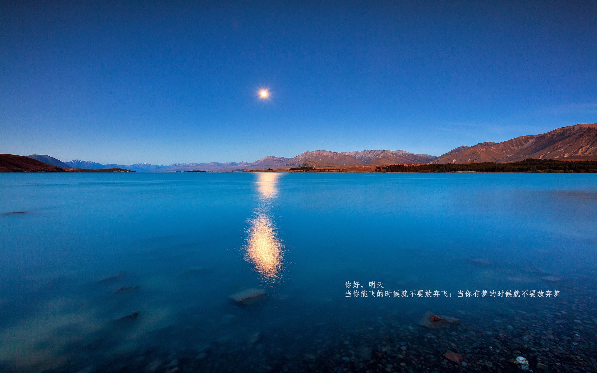 未来已来：电动WRC赛车挑战传统动力的速度极限，wrc 电动车
