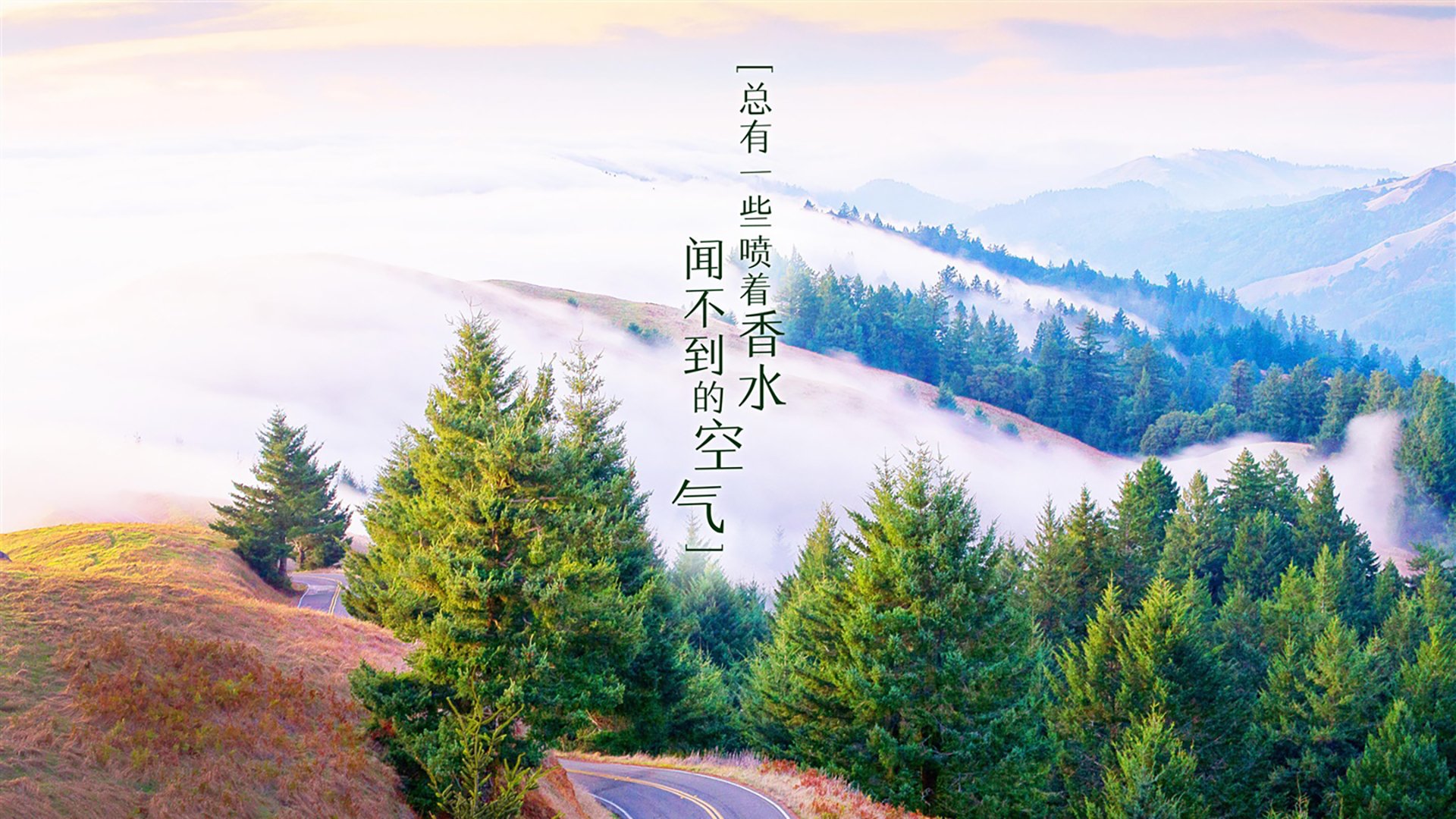转会动态：最新交易手机详解联盟变动，联盟交易截止日