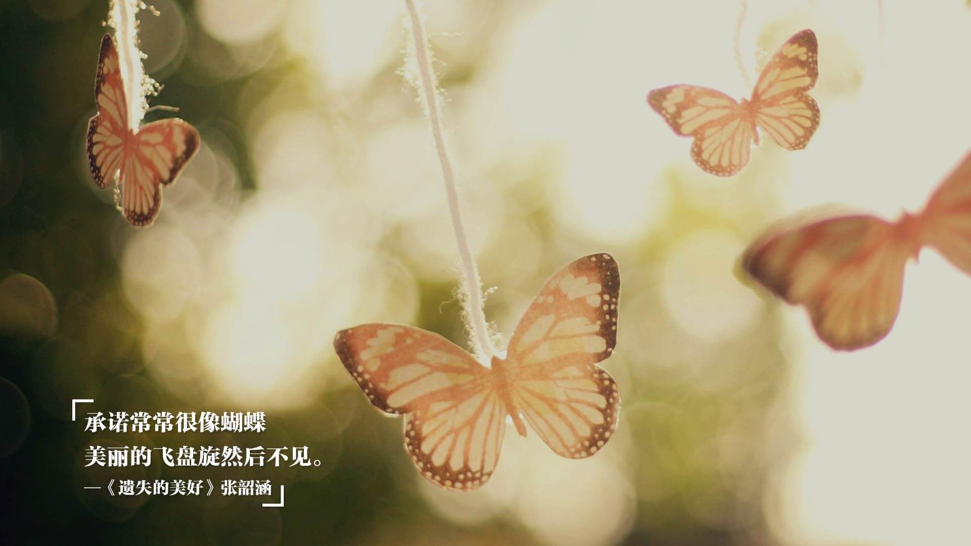 塞尔维亚年轻球员逐渐崭露头角，塞尔维亚现役足球明星
