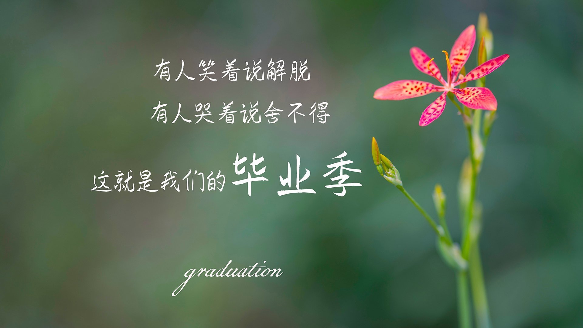 杭州绿城球员在比赛中展现实力，赢得尊重，杭州绿城足球队官网
