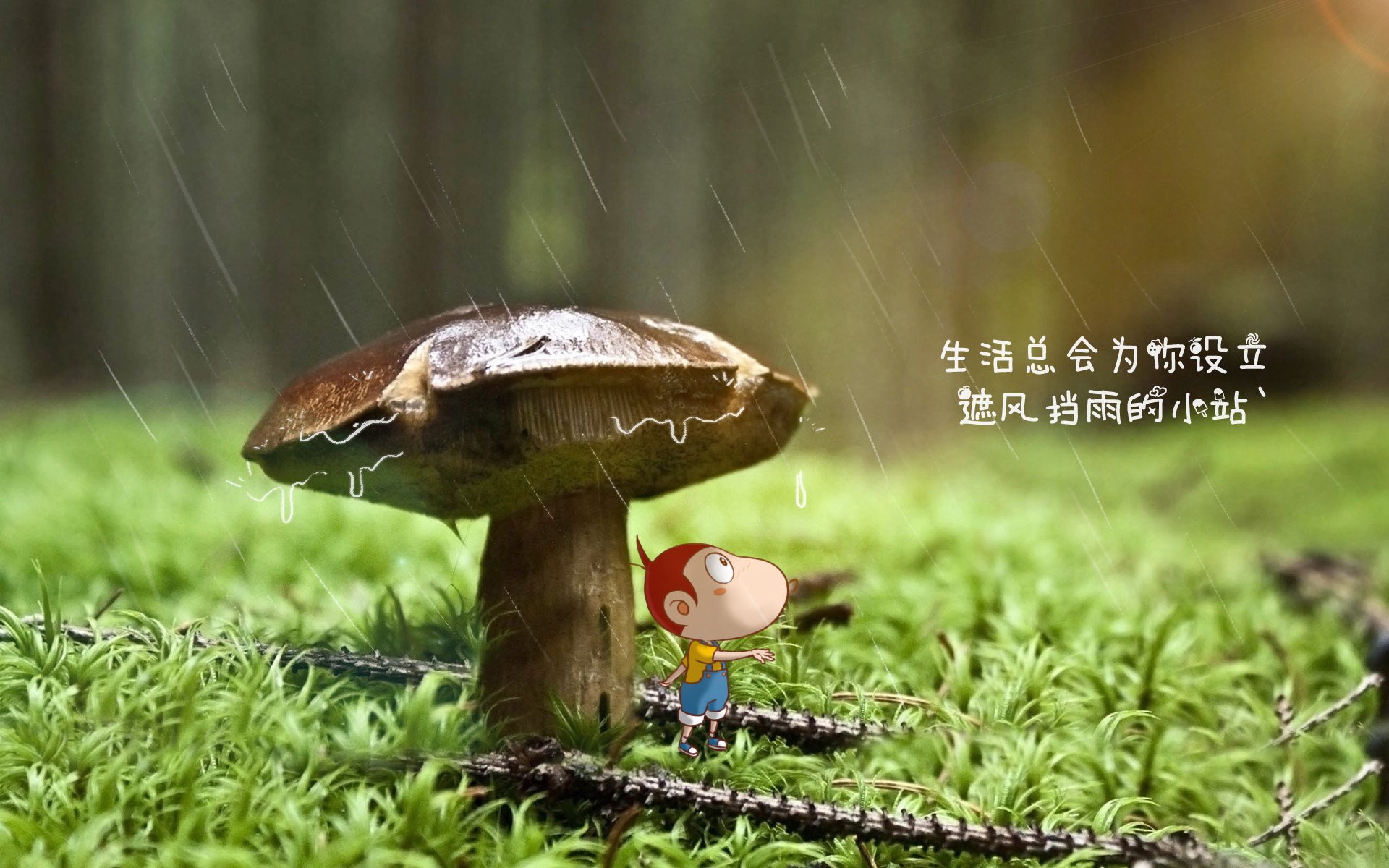 横滨水手冲击J联赛冠军，横滨水手俱乐部