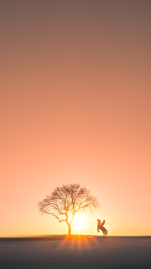 基于人工智能的个性化体育教学平台设计研究，人工智能体育训练解决方案
