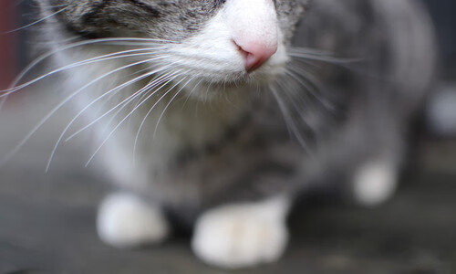 各大豪门主帅战术风格全面对比，各大豪门球衣