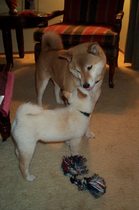 基层足球赛事组织难题，足球联赛组织方案