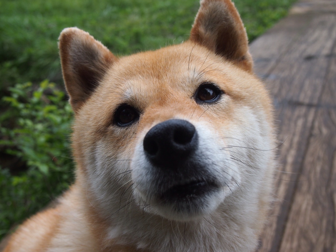 JIU YOU GAME-快攻推进节奏与失误率是否存在平衡点，快攻失误的遗憾是什么意思