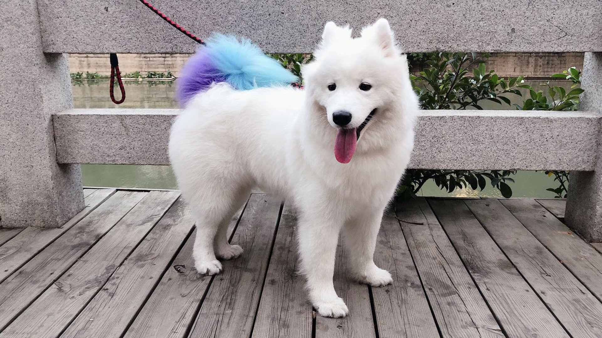 该项目滑行时间占比提升明显,该项目滑行时间占比提升明显的原因是