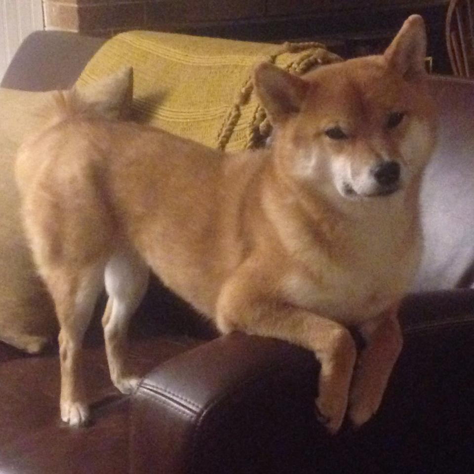 九游娱乐-乌拉圭队士气高昂，期待在世界杯舞台上大放异彩