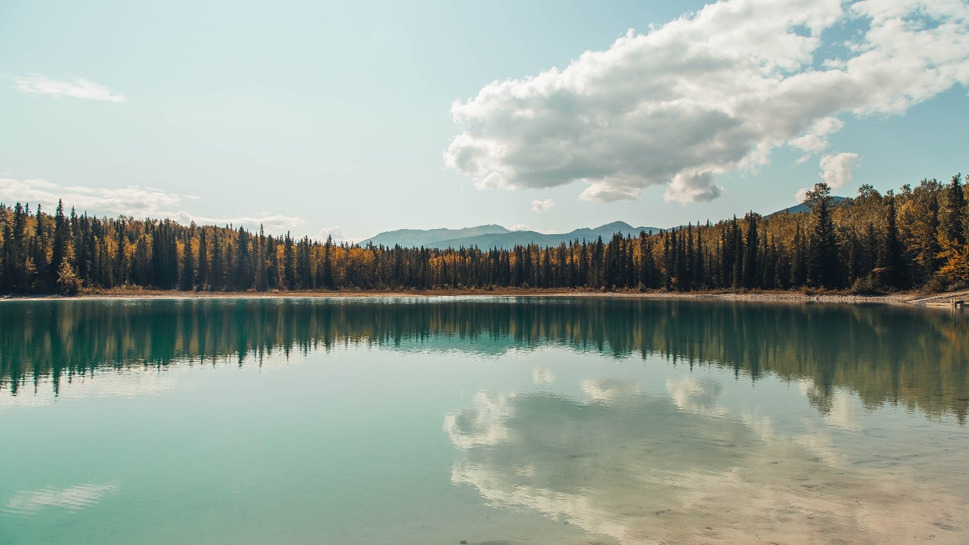 九游app官网下载-德甲攻防赛：攻势如火，防线坚韧不拔，德甲对抗